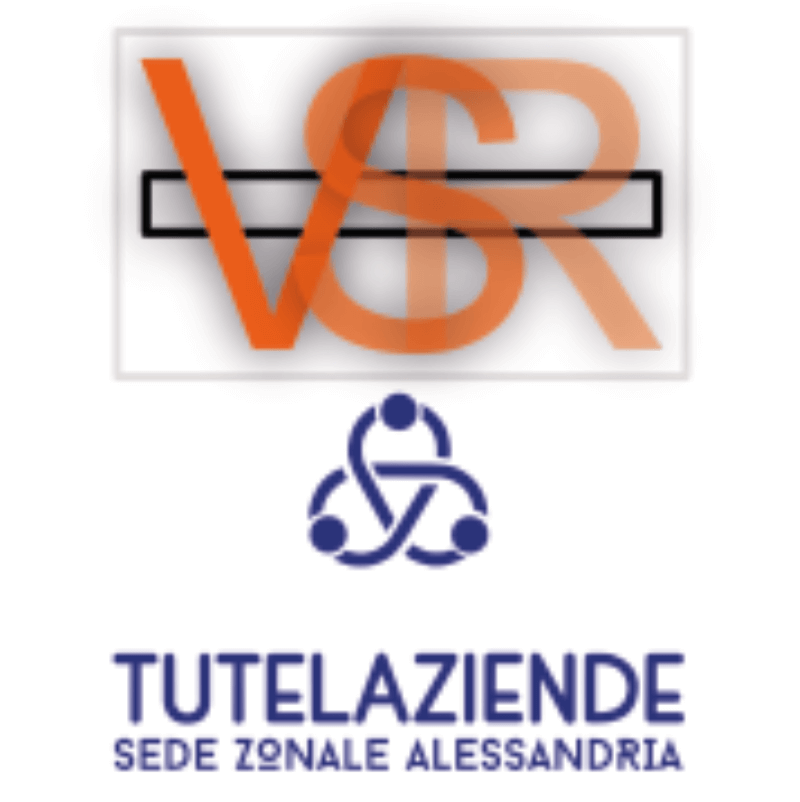 LOGO-VSR